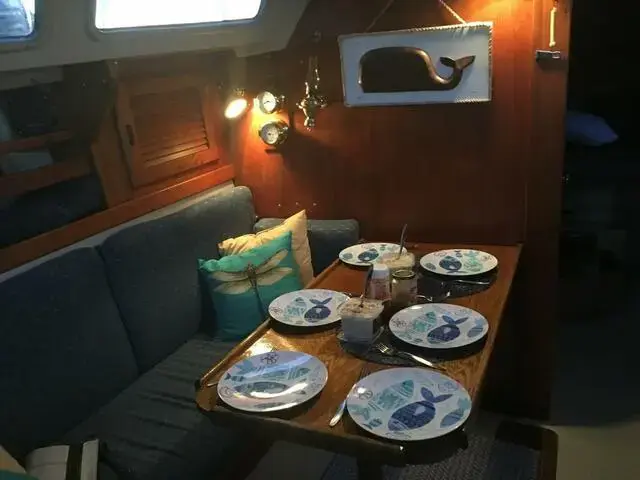 Catalina 30s spacious interior with separate cabin and dinette