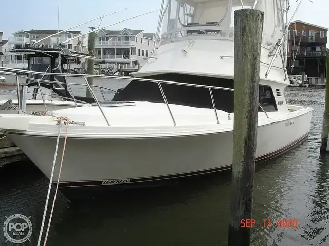 Blackfin Boats 29