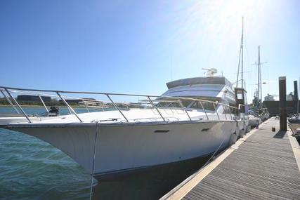 Bluewater Ultima 56