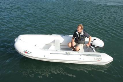 Ribeye Tender TS 310 Boat Only NEW