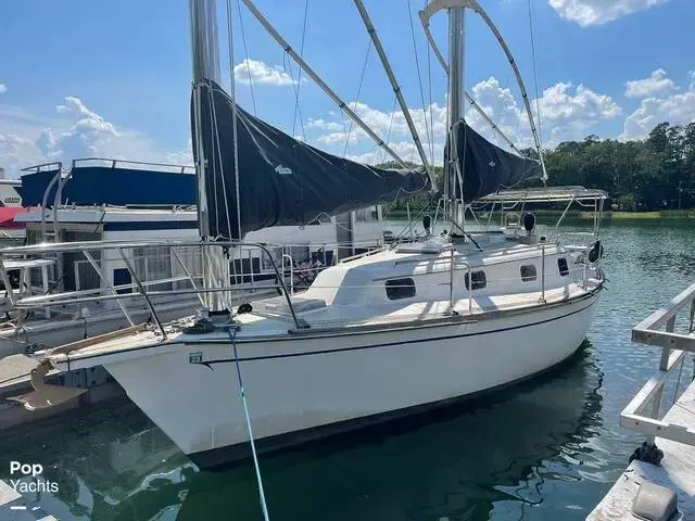 Offshore Boats Wings 33 for sale in United States of America for $12,750
