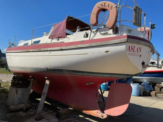 Barbican Boats 33