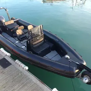 2016 Sealegs Boats 9.0.M