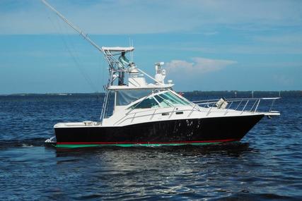 Cabo 35 Express for sale in United States of America for $239,000