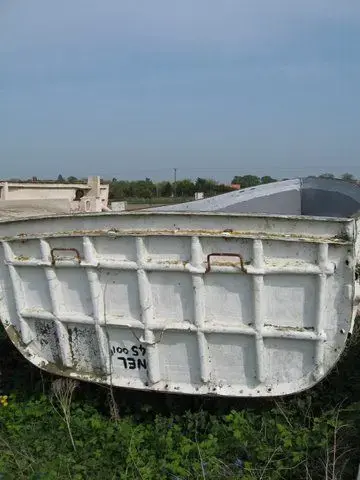 bg