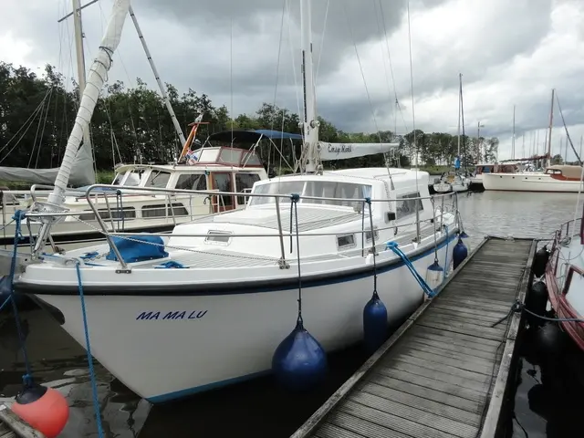 MULTIMARE 96 for sale in Netherlands for €19,500 ($20,897)