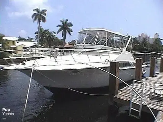 Cruisers Yachts Sedan Bridge 4280