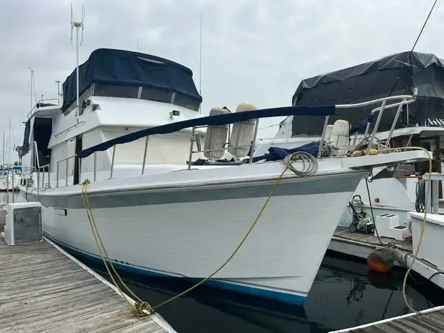 CHB 46 Motor Yacht