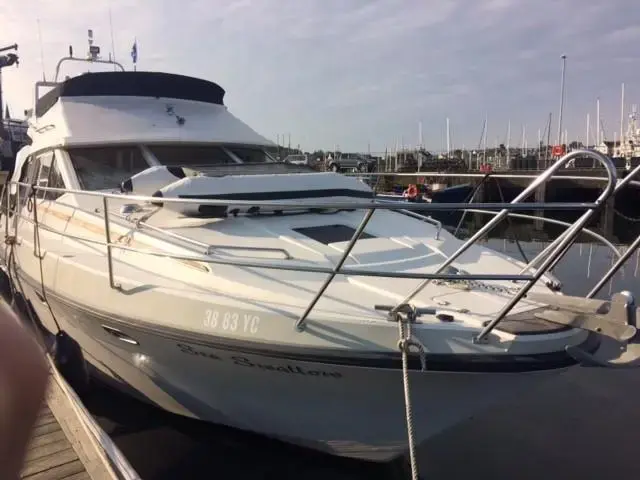 bg