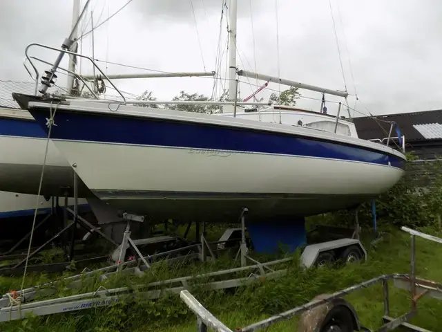 High-performance Racing Boats | Speedboats | Powerboat Ra...