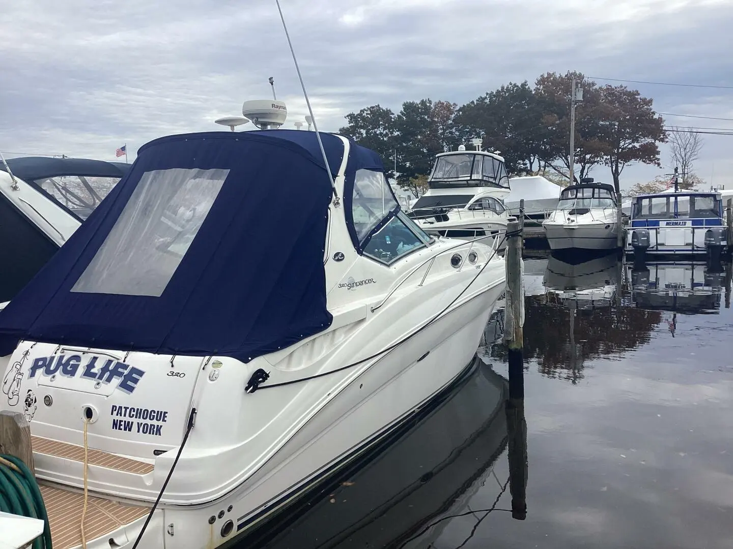 Sea Ray Sundancer 320