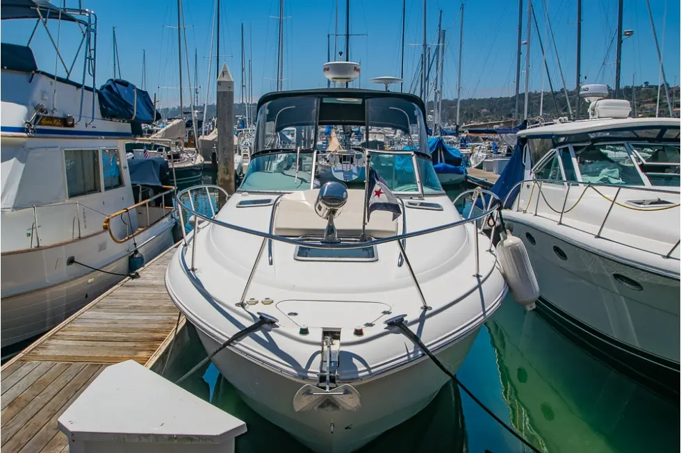 Chaparral 310 Signature