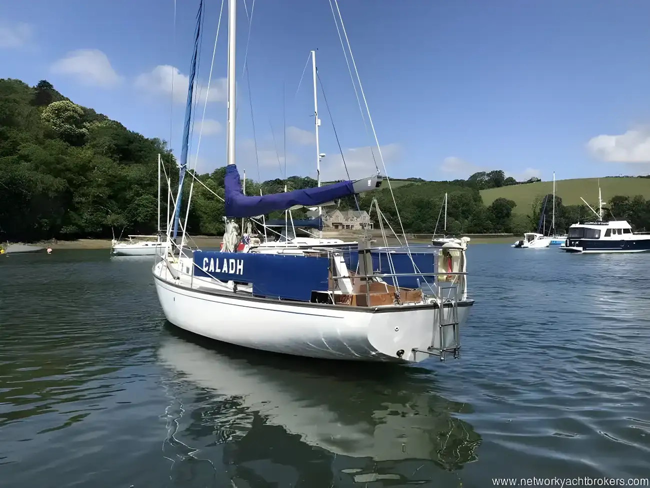 bg