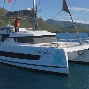 2023 Bali Catspace My