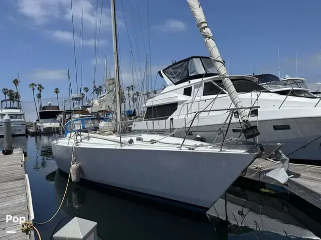 1977 Tanton 42 for Sale in San Diego, California #544057 ...