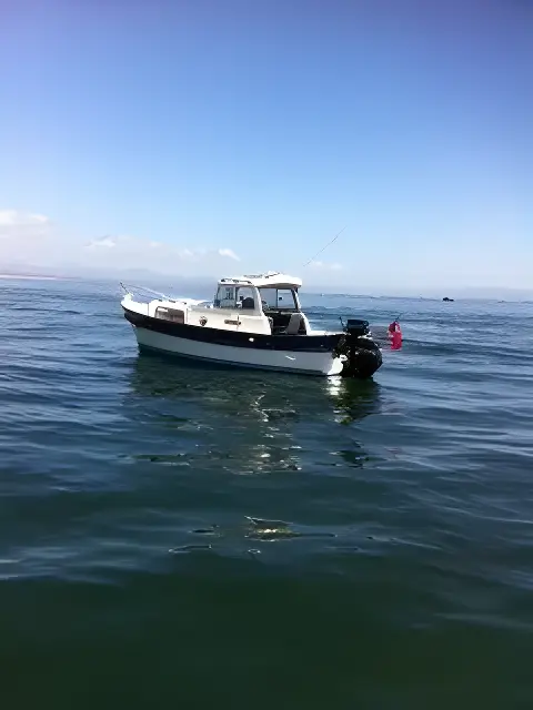 1999 Hardy 20 Pilot