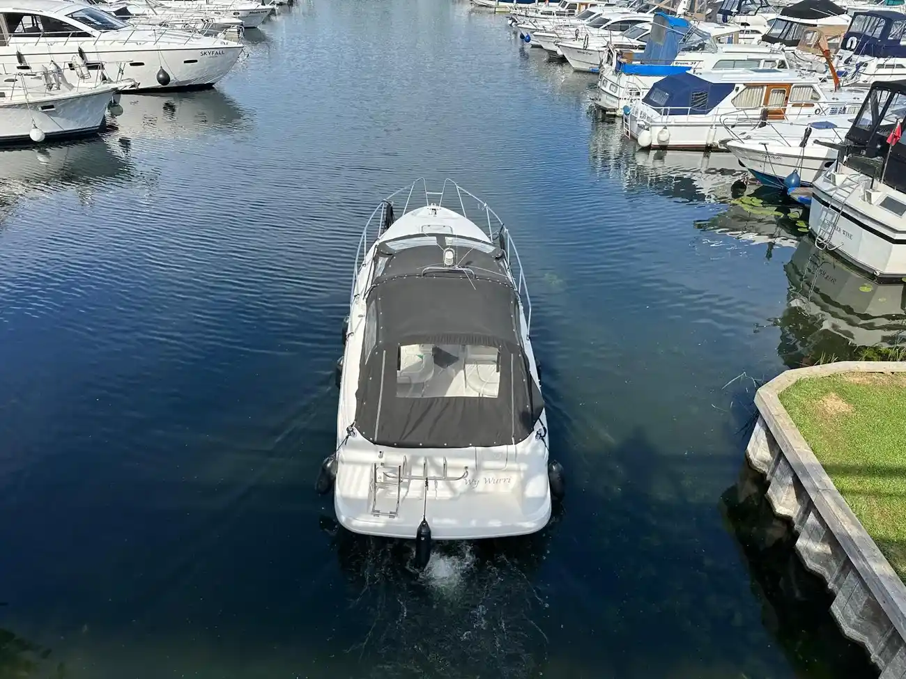 SEALINE 270 SENATOR 1994