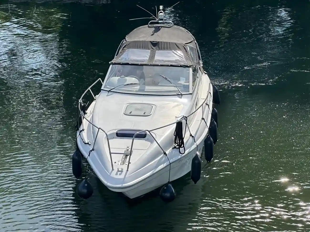 SEALINE 270 SENATOR 1994
