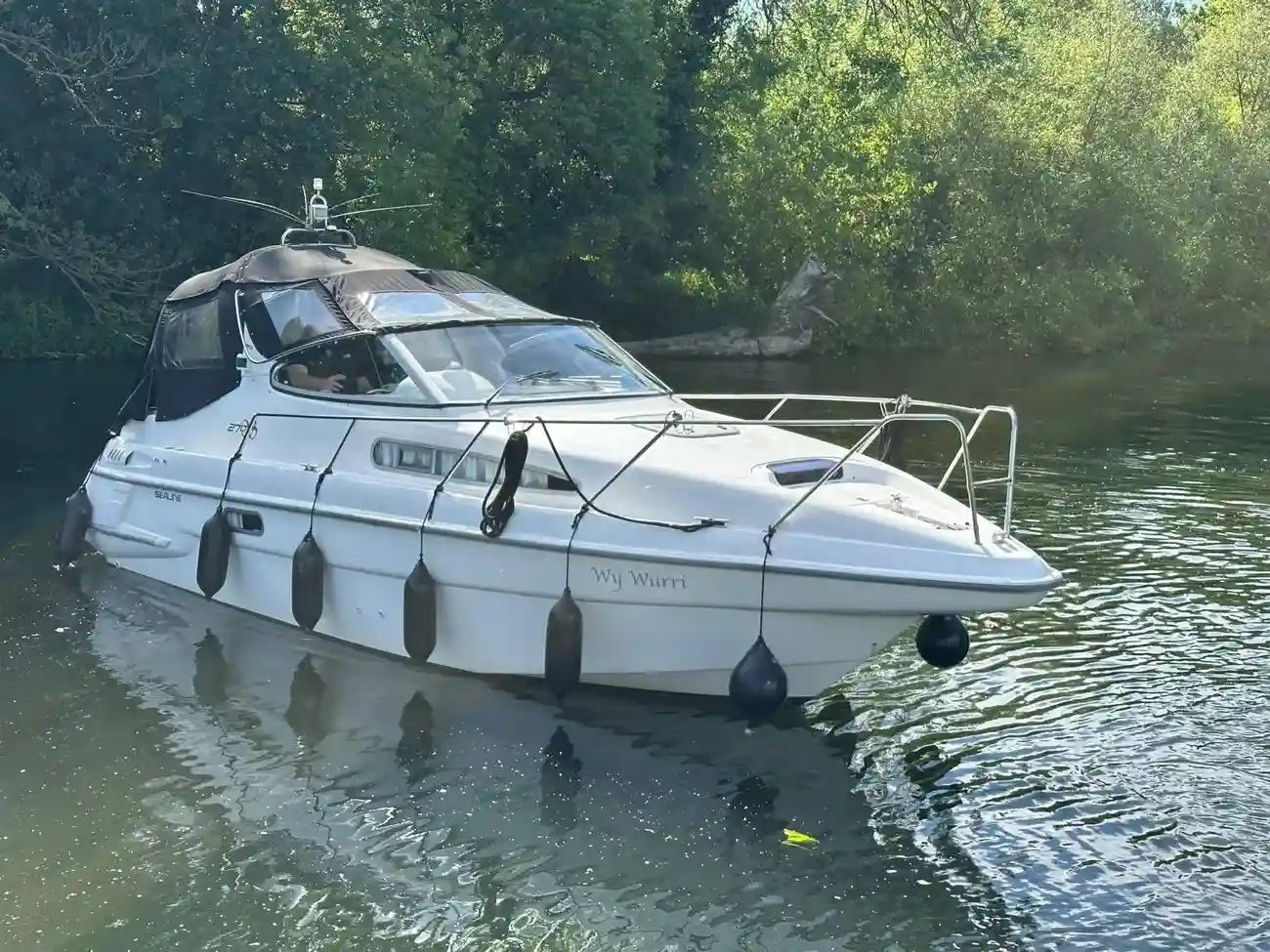 SEALINE 270 SENATOR 1994