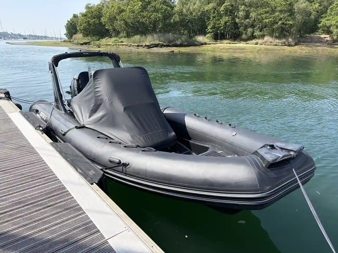 2020 Brig Eagle 650 image 8