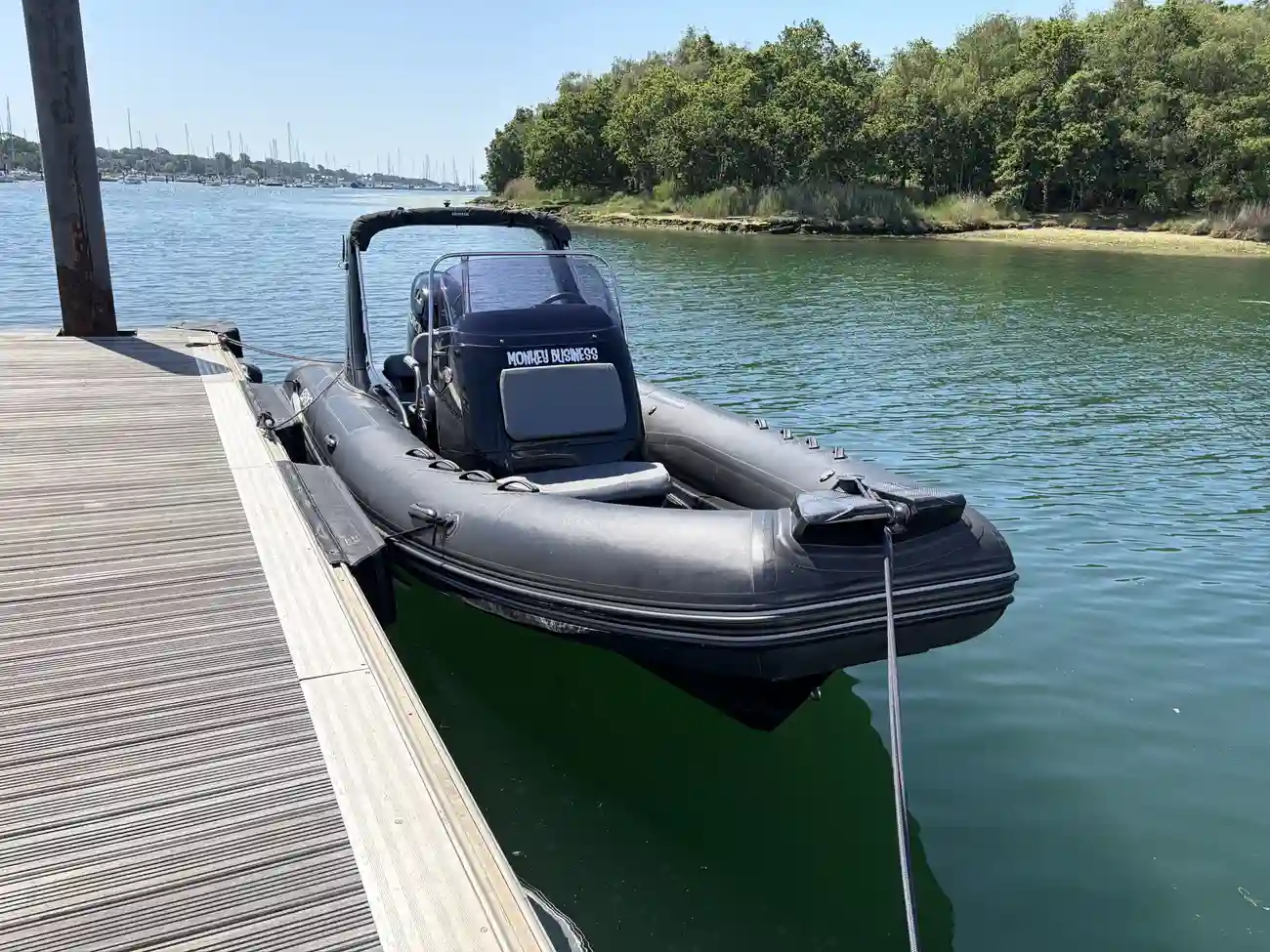 2020 Brig Eagle 650 image 7