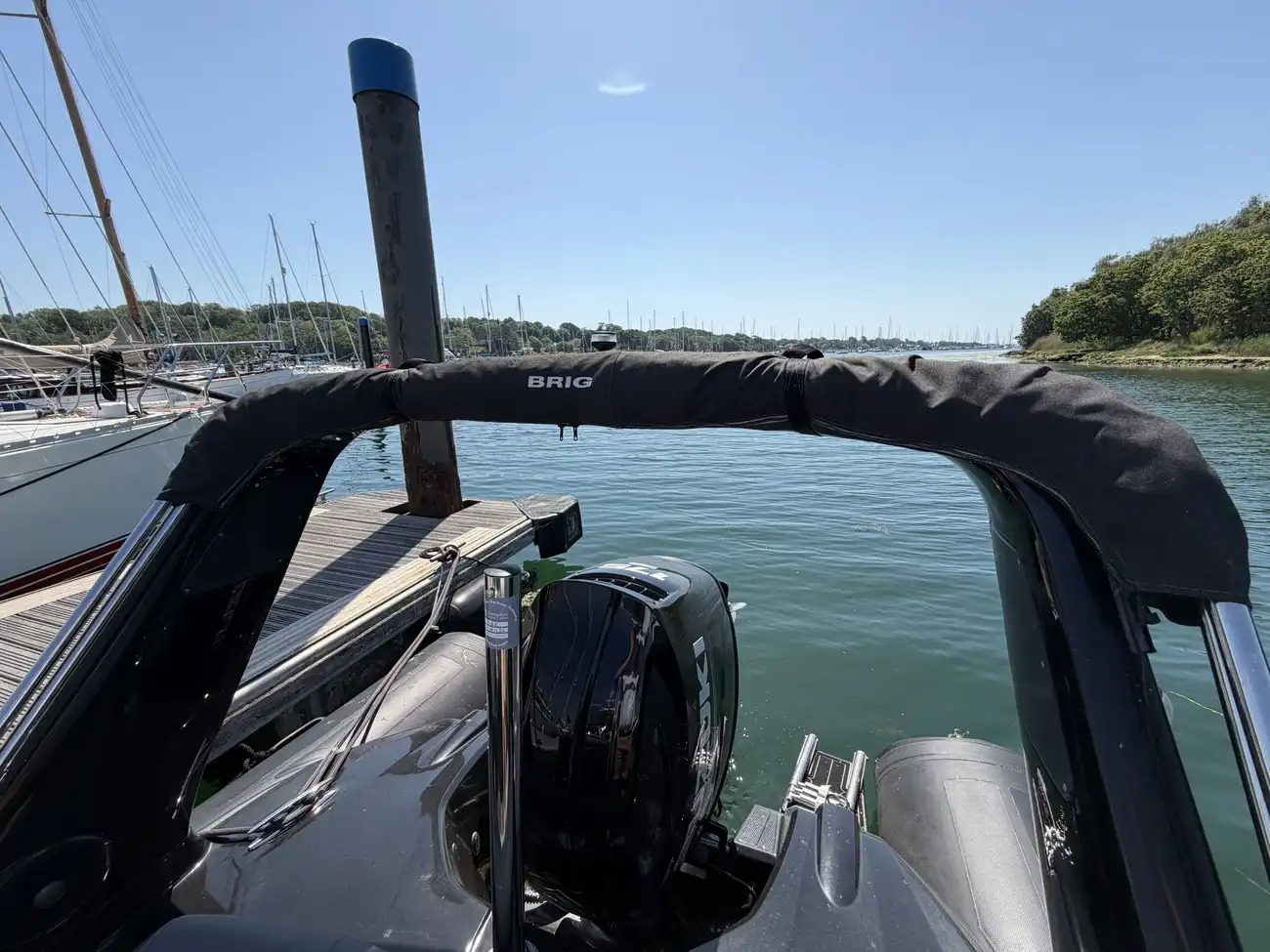 2020 Brig Eagle 650 image 2