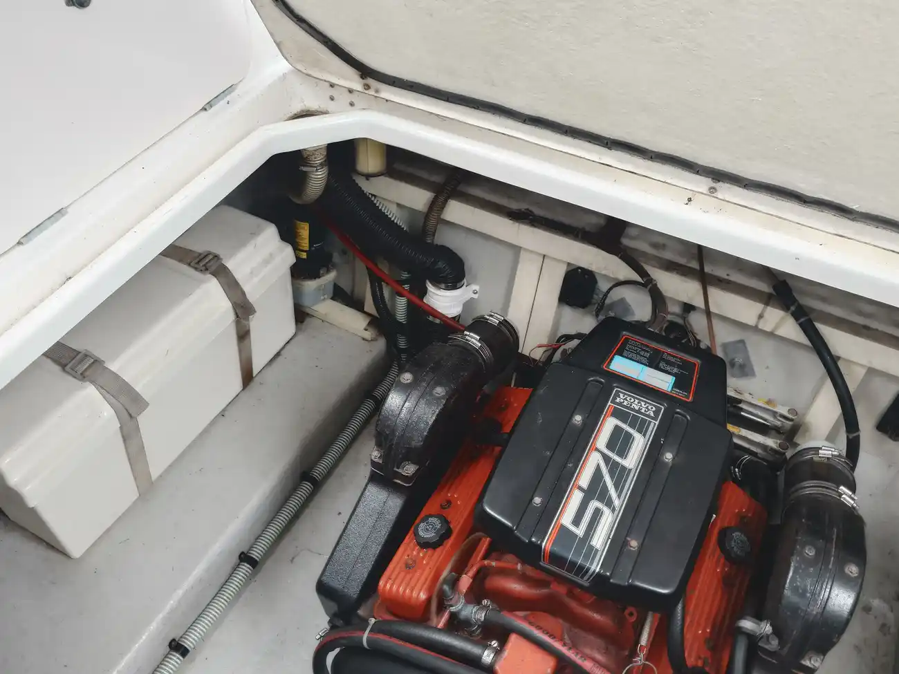 SEALINE 260 SENATOR 1991