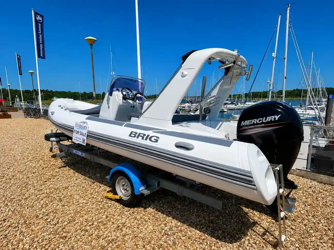 2018 Brig Eagle 650 image 11
