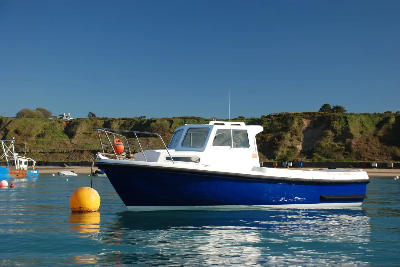 1997 Mitchell 22 Sea Angler MK II