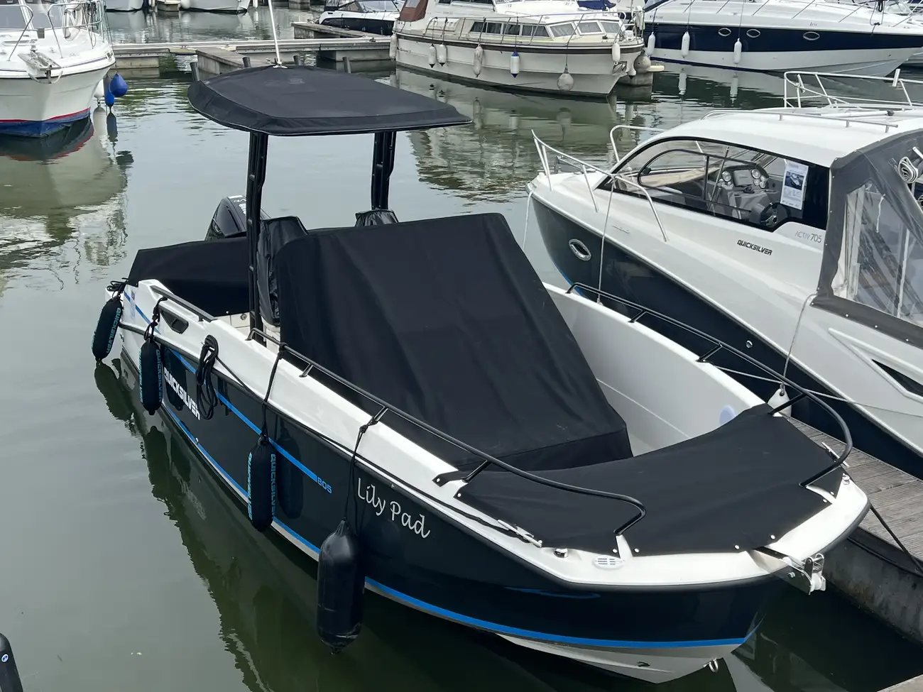 2023 Quicksilver Activ 805 Open image 8