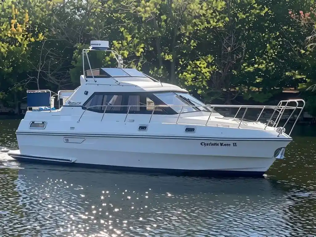 BIRCHWOOD TS31 1988