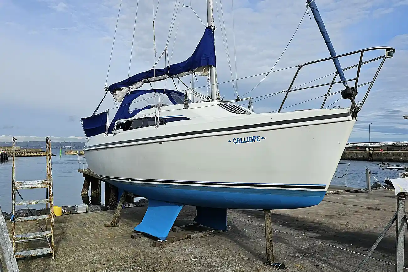 1996 British Hunter Ranger 265