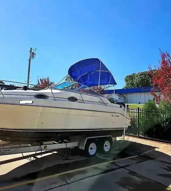 1996 Sea Ray 250 Sundancer for Sale in Pittsboro