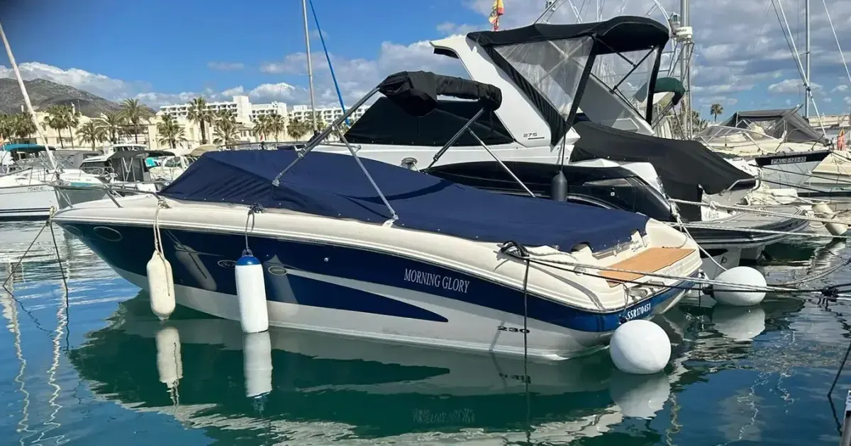 2001 Sea Ray 230 Signature for Sale in Malaga, Andalusia