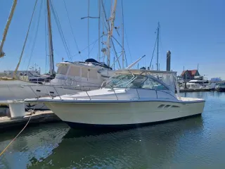 2006 Rampage 33 Express for Sale in West Islip, New York | rb523458