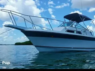 1989 Wellcraft Nova 23XL for Sale in Dedham | Rightboat